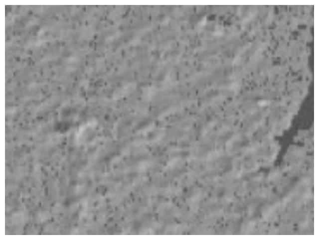 NASAGIBS.ASTER_GDEM_Greyscale_Shaded_Relief Local